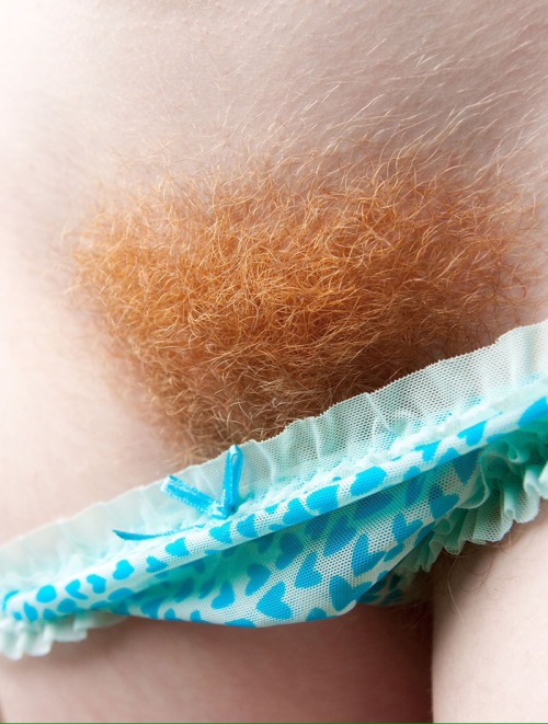 skippycool: hairydarling: Fire I love redhair pussy’s