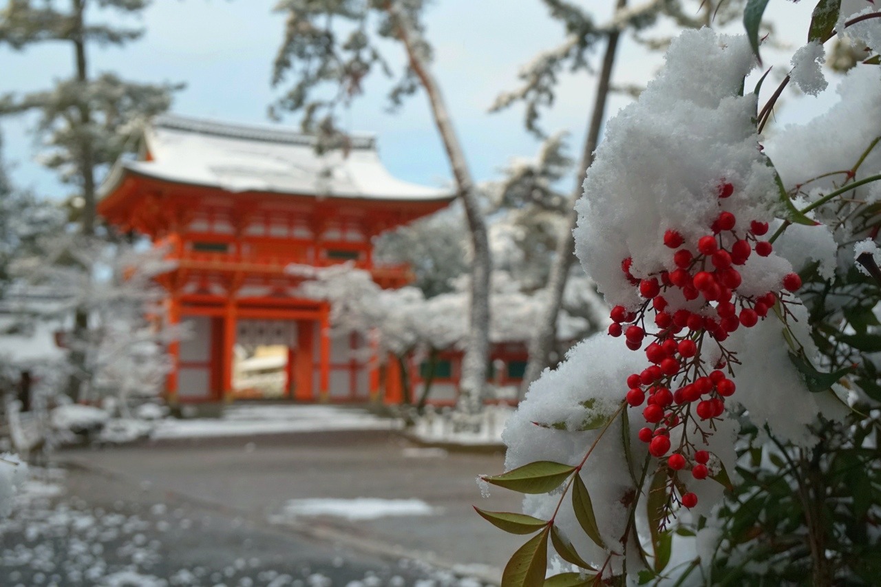 chitaka45:  京都 今宮神社 ❄️雪景色❄️2019.1.27 kyoto imamiyajinja