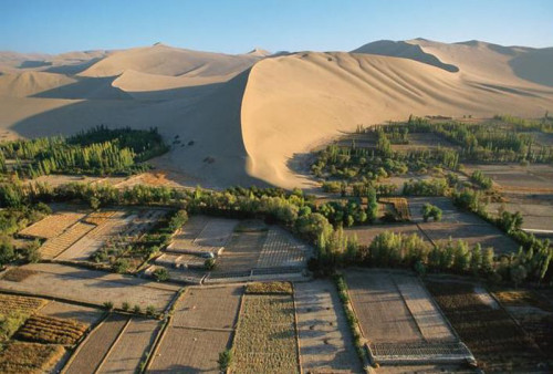 walkingwiththeblackdog: Gobi desert encroaching on agricultural land