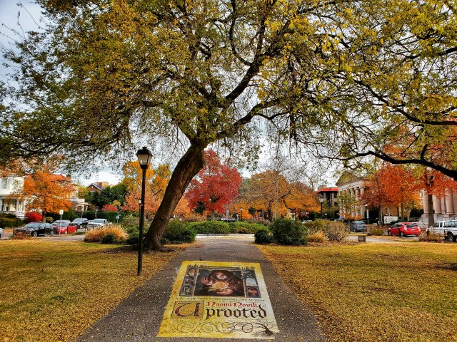 a path in a park with autumn trees stretching across it. the book uprooted appears to be painted onto the path.