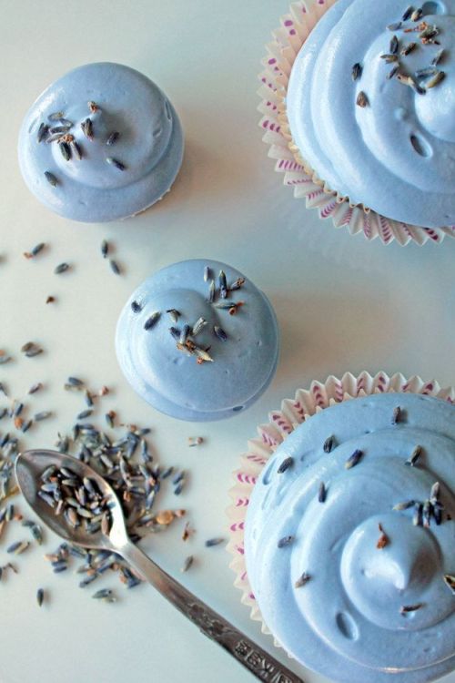 Lavender Cupcakes | Oh Sweet Day