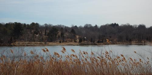 fieldsforestsandcities:May 2009Salem Village, Salem, MA and some marsh in the city.