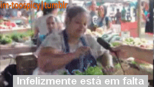 Followers que me mandam asks e reblogam tudo o que eu posto