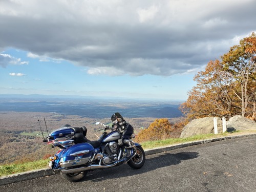 two-wheeled-therapy