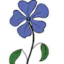 bluemoonrose8