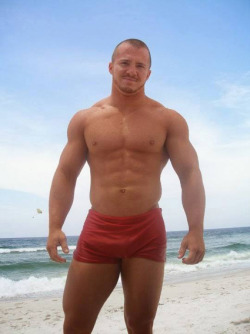 cutecubs:  Stocky beef  Hottie