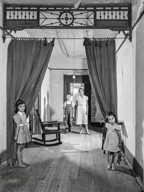 June 1941: The family of Clinton J. Stewart, FSA borrower. White Plains, Greene County, Georgia. By 