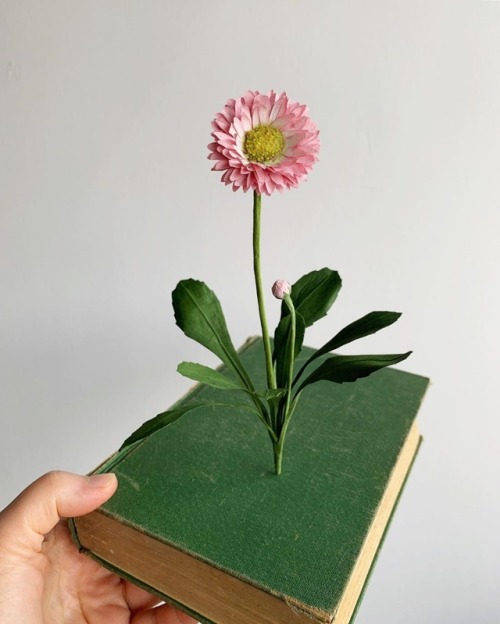 XXX dibidibulle: sosuperawesome:   Botanical photo