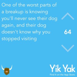 strawberritaa:  when yik yak gets real 