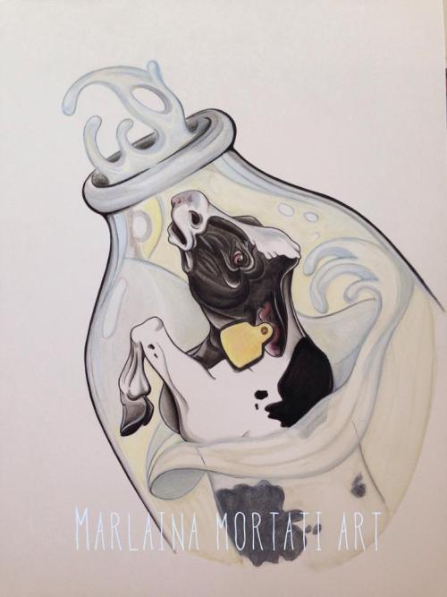 “Milk life"  |  Marlaina Mortati