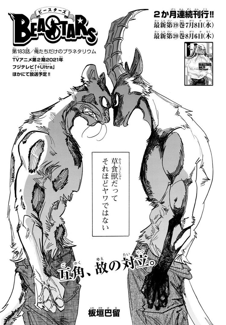 We Stan Beastars Gangsta Fire Force The Vibes Her Are Immaculate We Stan Beastars Gangsta Fire Force The Vibes Her Are Immaculate