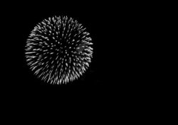 whitenes-s:  Fireworksby devujea 