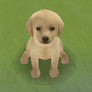 Nintendogs Stimboard 