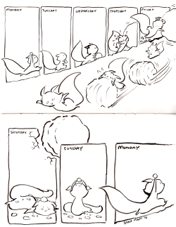 gracekraft:  sachisquirrel:  weekly routine