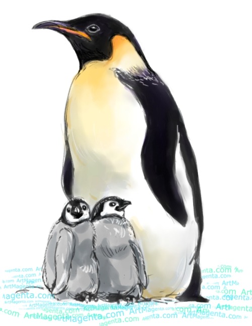 artmagenta:Emperor Penguin (Z0446)