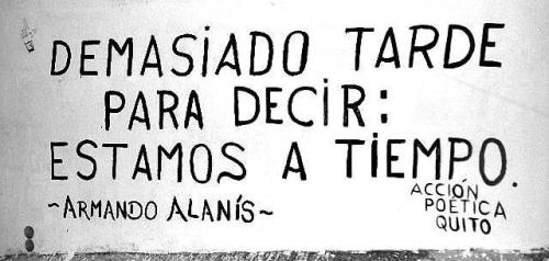 Irreverente Sensatez