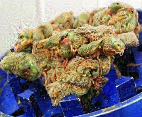 Dank Purps