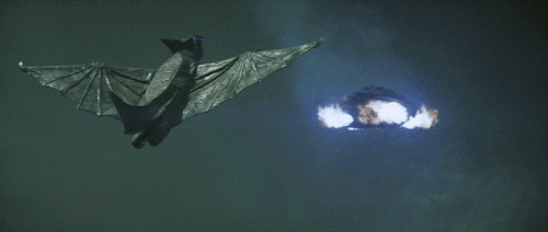 tumblr_ovijsy95SD1wzw0ebo1_500.gif