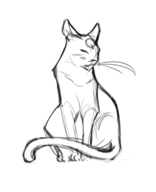 It’s International Cat Day! Smooch your kitties and enjoy this cat themed warmup