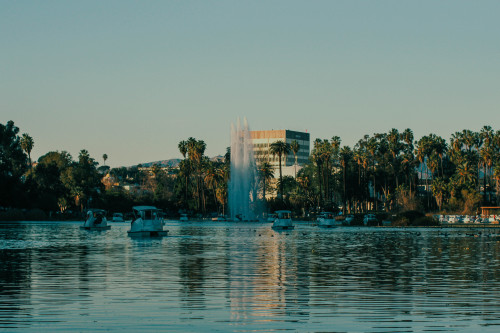 matthewgrantanson:Echo Park Lake, Los Angeles – January 30th, 2021Instagram: @matthewgrantanso