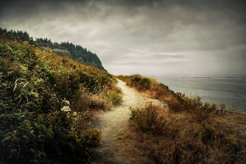 thepictorialist:Takin a stroll—Pt Townsend, WA 2005