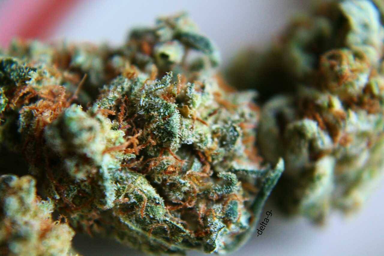 -delta-9-:  Macro shots of my current medication.