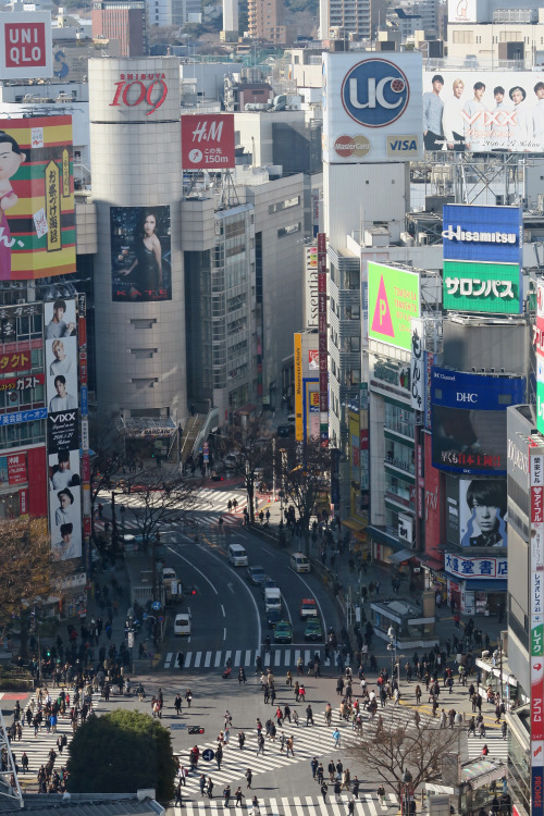 ninetail-fox:  Shibuya