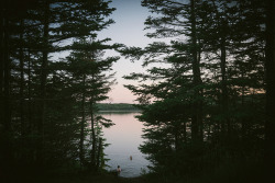 floriferous:  Swimming by Carl *Newfoundland on Flickr. 