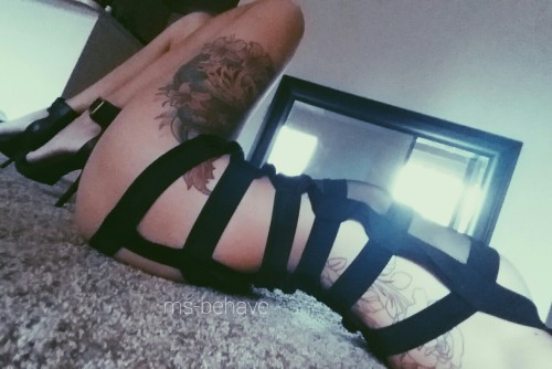 ms-behave:  Kitty kitty kitty 🐱