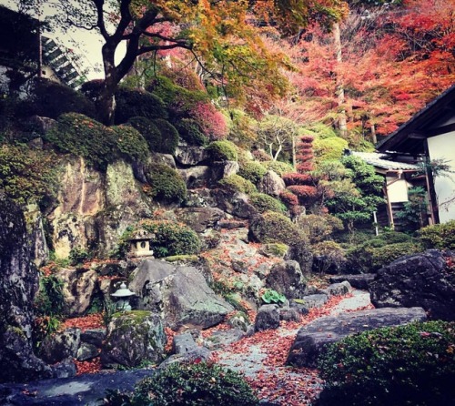 ＼おにわさん更新情報／ ‪[ 岐阜県下呂市 ] 温泉寺庭園「龍紅窟」 Onsen-ji Temple Garden, Gero, Gifu の写真・記事を更新しました。 ーー下呂温泉にまつわる「白鷺伝