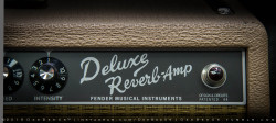 deebeeus:  Fender Deluxe Reverb - for many, the holy grail of vintage amps.  Arranged chronologically by era.  These are reissues of course, photographed a music shop in Toronto, Canada. 