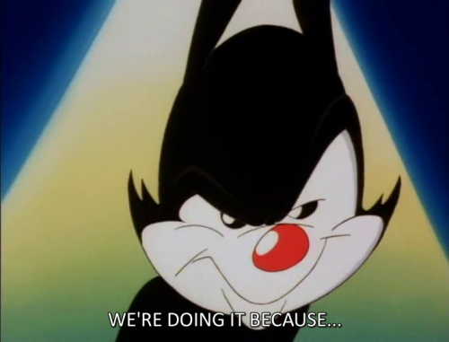 Porn sambatte:  animaniacs really gets me  im photos