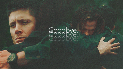 I Just… I Don’t Know How To Say Goodbye. (insp) 
