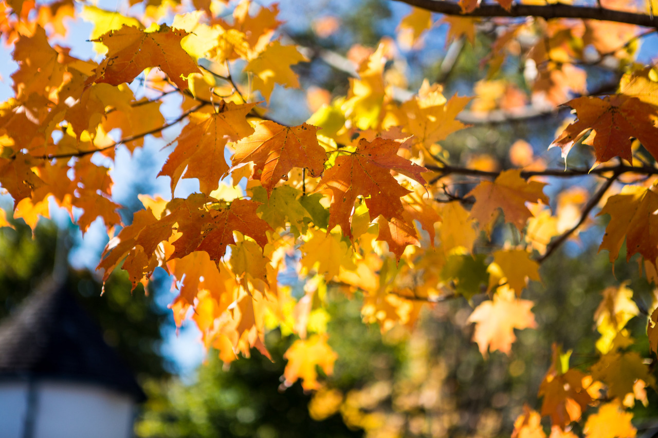 phillycuriosity:  Fall. Yup.