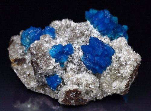 mineralists:  Cavansite on stilbite - Wagholi, India 