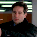 dana-katherine:THE X-FILES | 01x12 - Fire