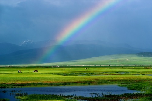 Spring Of Tianshan (The Heavens Mountains)