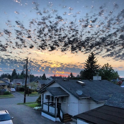 Roof top sesh. Nothing like sitting and enjoying the view. #smokeweedeveryday #washington #pnw #pnws