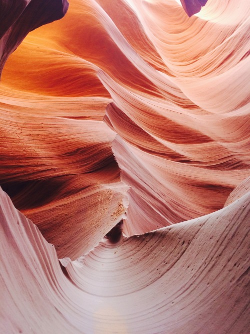 danielodowd:  http://gracieebrown.vsco.co/