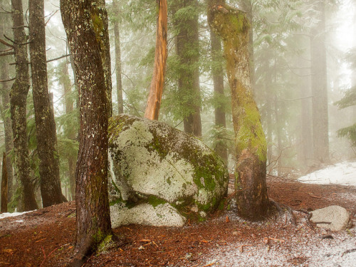 Zen boulder on Lynn Peak by David R. Crowe on Flickr.