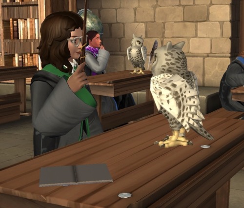 So, I have a question WHY STILL CAN’T WE HAVE PETS IN HOGWARTS MYSTERY???