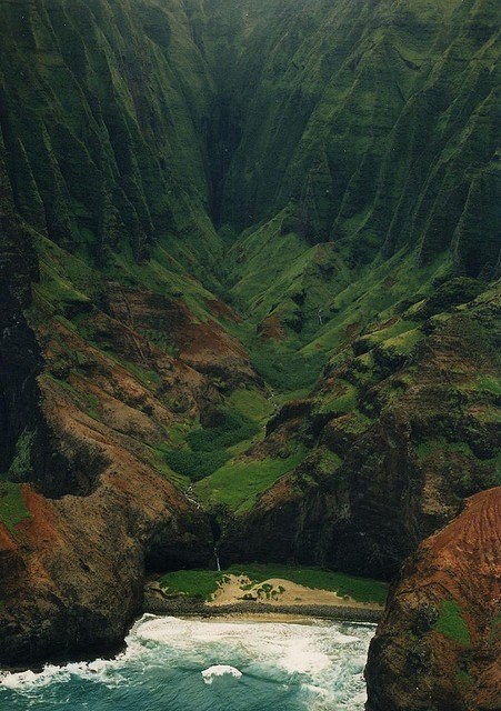 rastaatmosphere:  Natural  