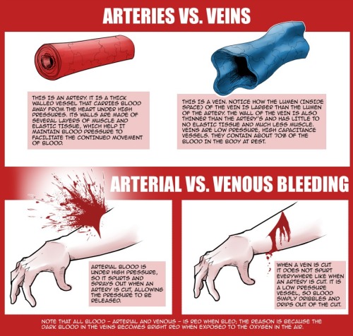 anatoref: Blood!Top ImageRow 2Row 3Row 4Row 5Row 6Row 7Bottom Image