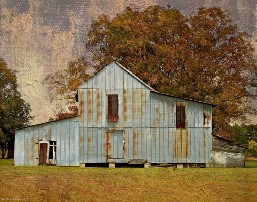 oldfarmhouse:Late-Autumn in the Countryside: Near Bull Head, Wayne County, North Carolina#Repost fro