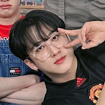 Stray Kids Matching Icons/metadinhas.