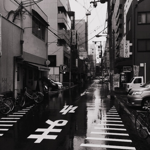 parkalenn - KIKO