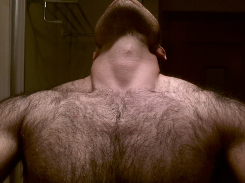 thehairiestmen:  The Hairiest Men - archive of the hairiest men on Tumblr. 