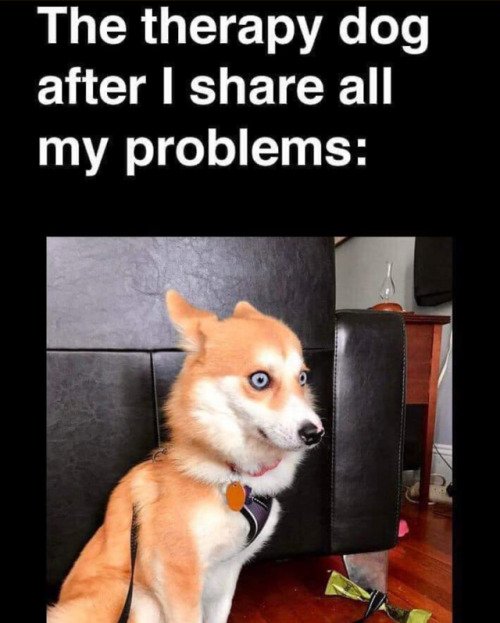 oldm4fun:Lol