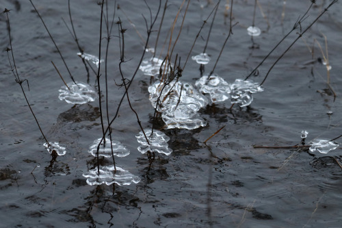 Ice formations by the shore of lake Frövettern.