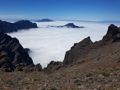 travelmind:La Palma is amazing